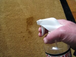how to remove pet stains naturally